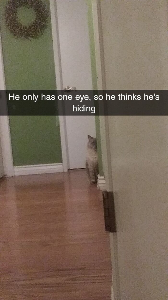 He's Not The Sharpest Tool In The Shed...