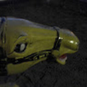 heatherdailey avatar