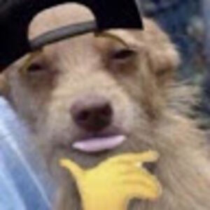 myriahfields_1 avatar