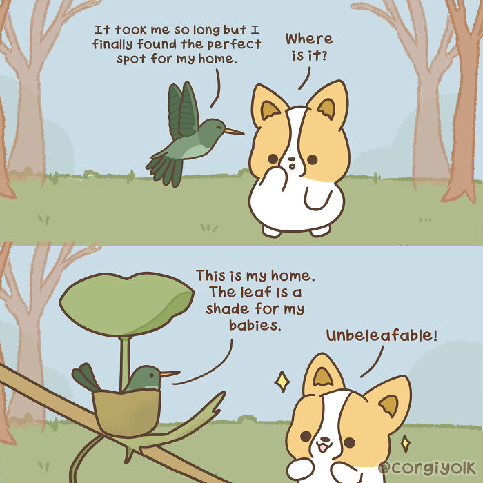 My 15 Wholesome Comics About A Corgi And His Animal Friends To Warm Your Heart Amid Pandemic