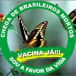 imaculadagutierrez523 avatar