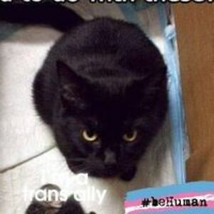 mcfarlandwrites avatar