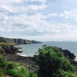 benjamin-d-williams avatar