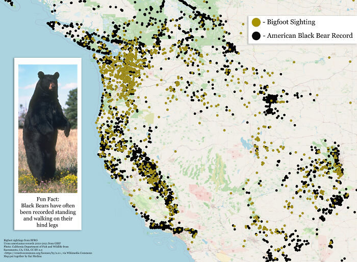 Bigfoot Sightings vs. Black Bear Records