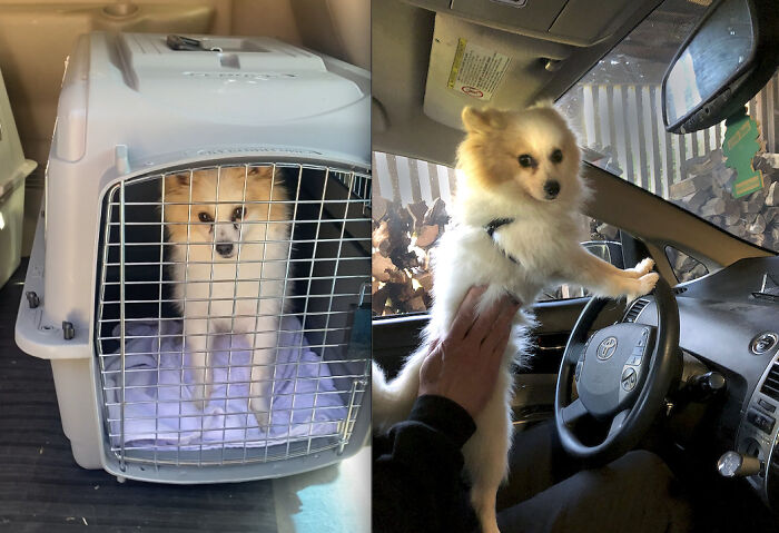 They Grow Up So Fast... From Crusty-Eyed And Terrified To His First Day Of Driving School (Which, To Be Fair, Is Also A Nerve-Wracking Experience)