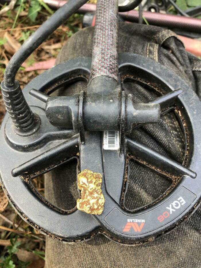 Nice Little Nuggy With The Equinox 800 Yesterday. Gold-1, Sensitivity 22. Approx 6in Deep In The Victorian Golden Triangle (Australia). 12.4ish Grams After A Clean