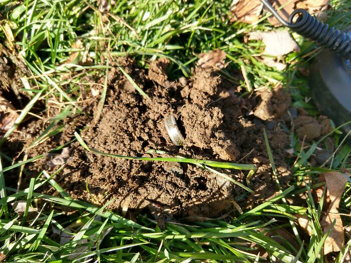 First Ring Found!!!! Too Bad It's One I Already Own Lol... Lost It Two Years Ago At A Friend's Place, And I Wasn't Into Metal Detecting. Had The Idea Today To Go Back With My At Pro And As Always, She Did Not Disappoint! I Know It's Just A Tungsten Ring, But It Is My Wedding Ring And Means A Lot