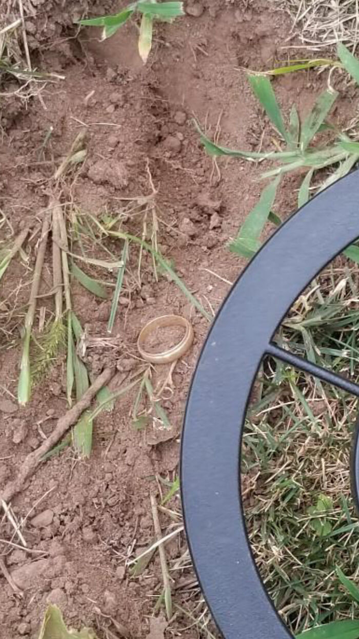 Found My Father In Law's Gold Ring He Lost 10 Years Ago In His Garden. First Gold Find And I Don't Get To Keep It!