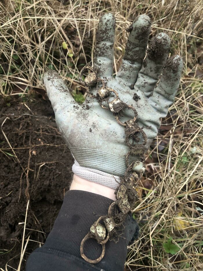 Aw, Come On! Who Puts 11 Pull Tabs Together Like This?