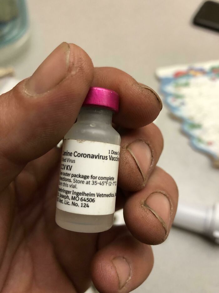 Also Found The Coronavirus Vaccine While I Was Metal Detecting Today