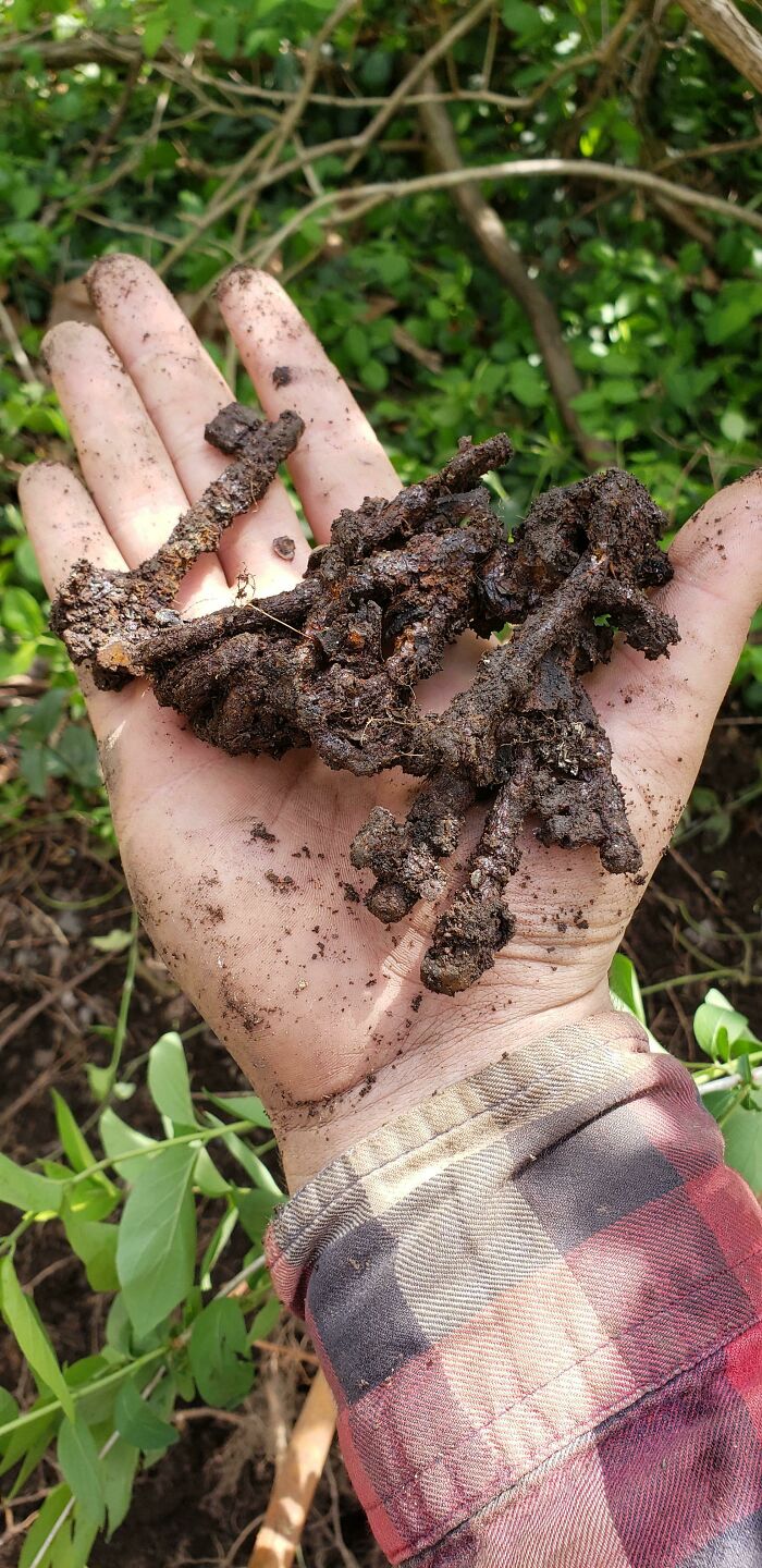 I've Been Wanting To Find A Skeleton Key. I Got More Than I Bargained For Today