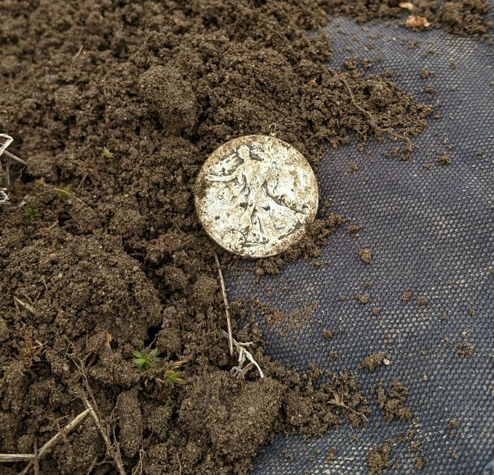 Finally! My First "Big" Silver!!!