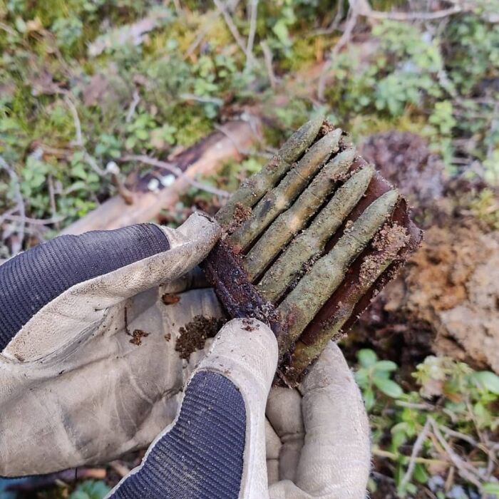 Some 1938 Finnish Mosin-Nagant Clips Still In Cardboard!