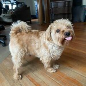 madison_medero avatar