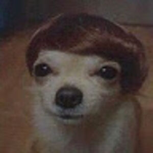 isabellavasquez avatar