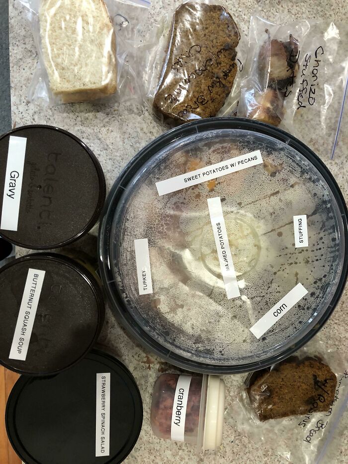 My Neighbors Brought Me A "Plate" Since I Didn't Go Anywhere For Thanksgiving