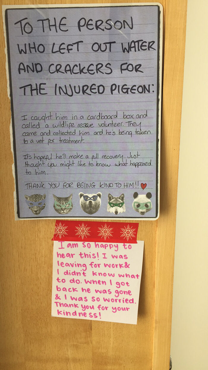 This Very Wholesome Interaction Between Neighbours Taped To The Mail Boxes This Morning