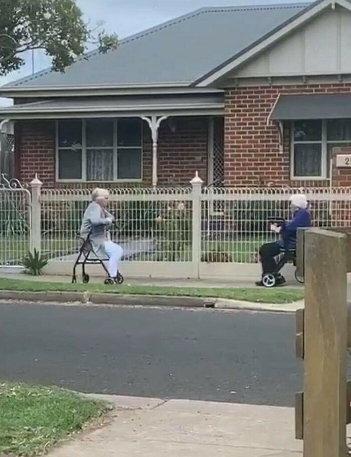 A Friend Just Sent This Picture Of Her Neighbours Still Catching Up