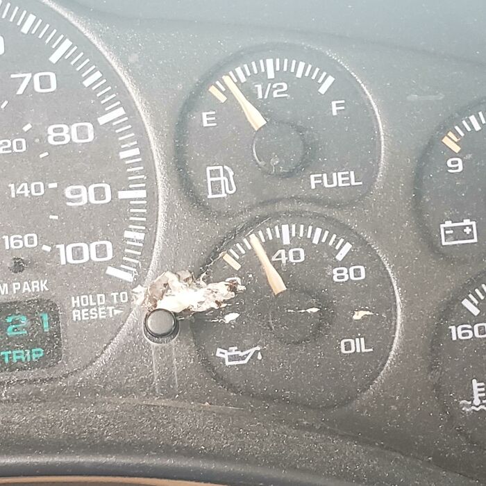 Bird Flew At Precisely The Right Height And Velocity To Successfully S**t Inside My Car Through My Open Window While I Sat In Line At A Drive Thru. Almost A Bullseye On The Trip Button