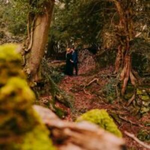 likeabombloves avatar