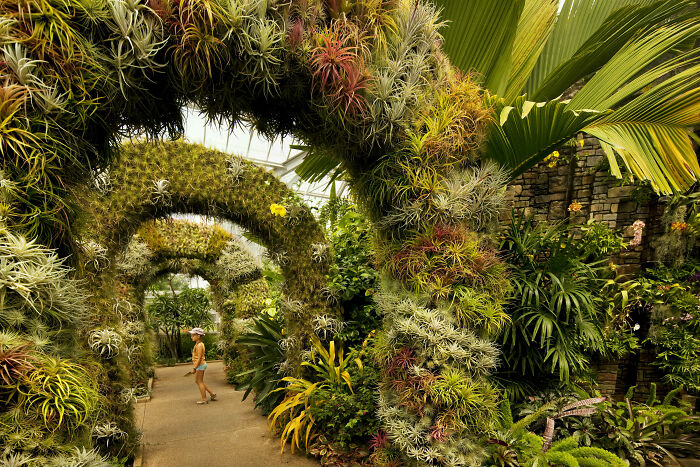 Botanical Garden In Charlotte