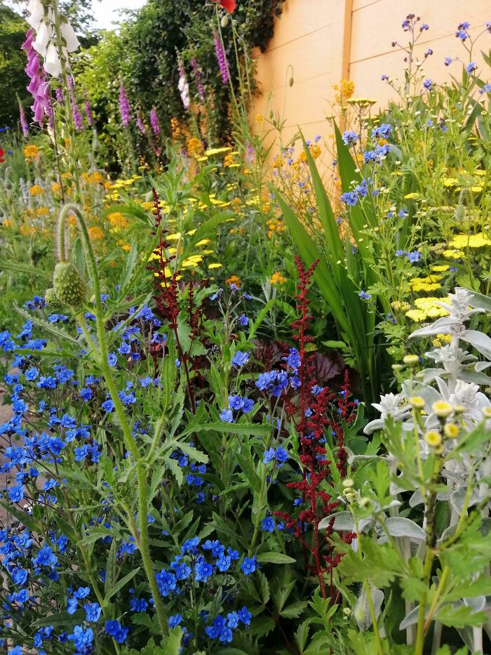 Small Portion Of My Mom's Garden Which I'm Quite Jealous Of