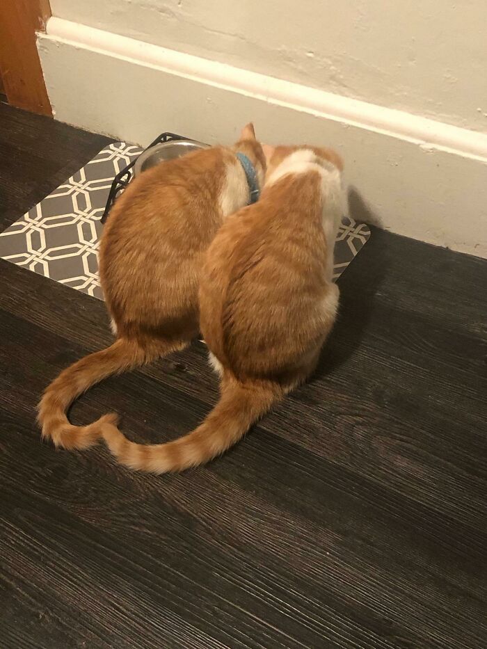 My Girls Made A Heart 