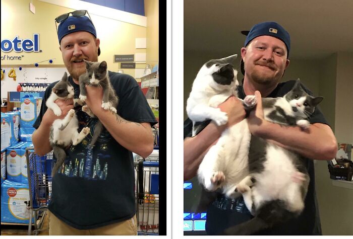 We Rescued These Boys One Year Ago. Love Them