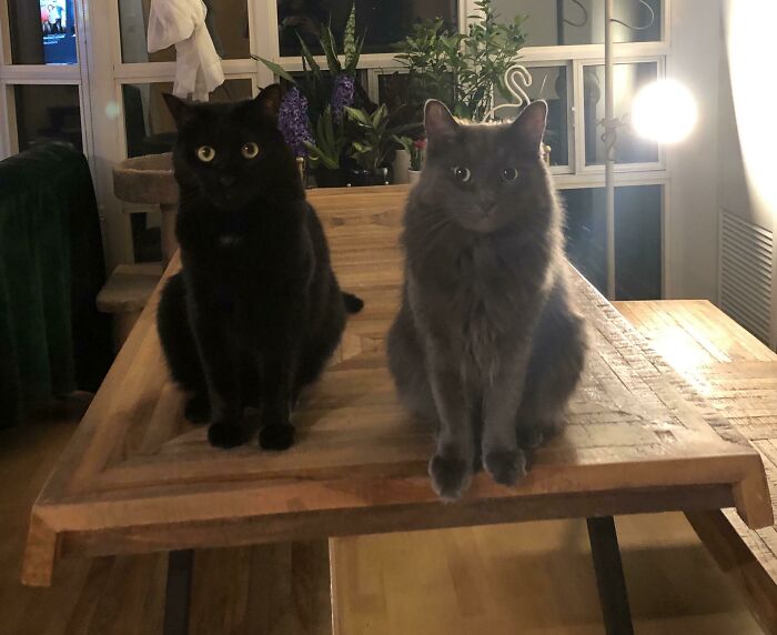 They Don’t Understand Why I’m In Their House 24/7