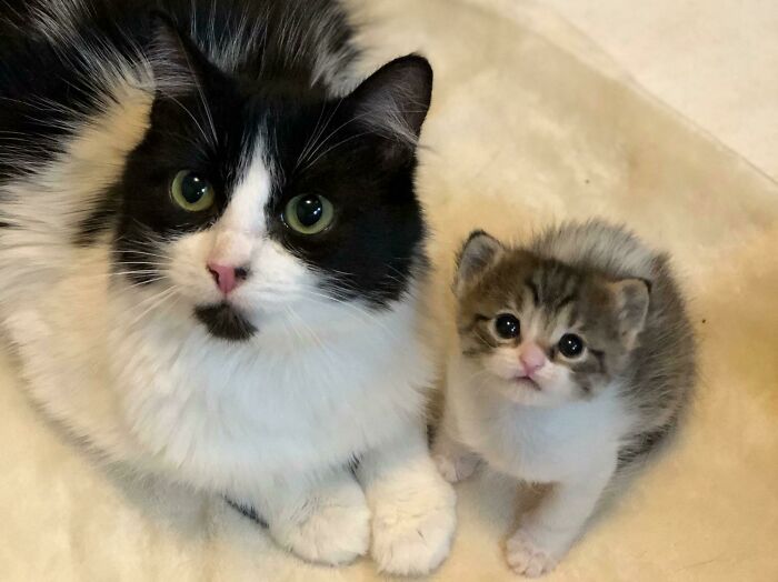 May And Her Daughter Trixie