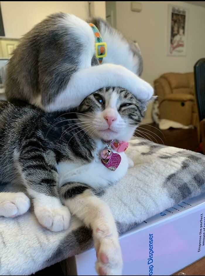 Please Enjoy This Picture Of Yuri And Valentina, Which Tells You Everything You Need To Know About Their Relationship