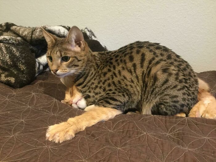 What?! There Was No Other Place To Sit