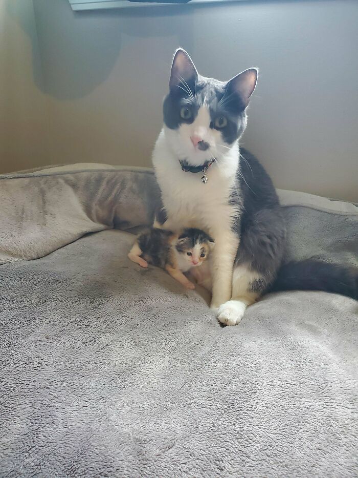 New Addition To The Family