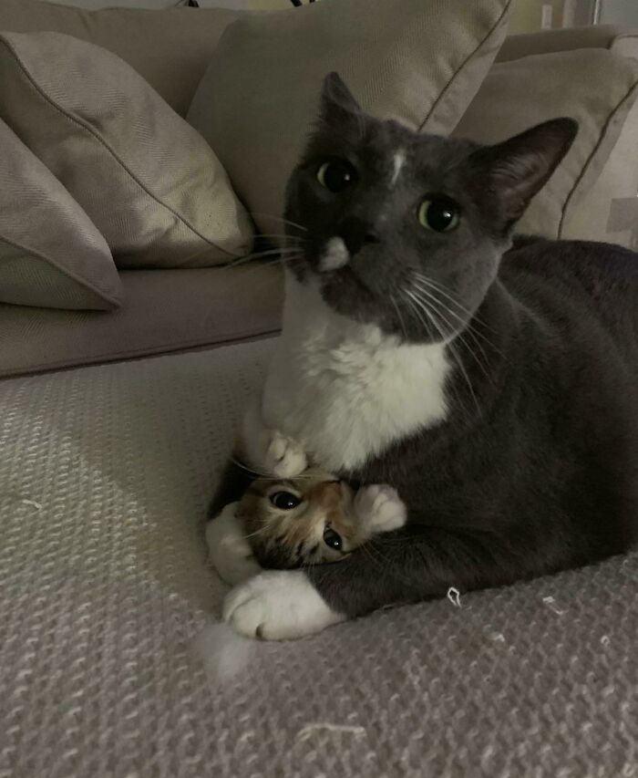 Walk Away, Human. This Is A Family Matter