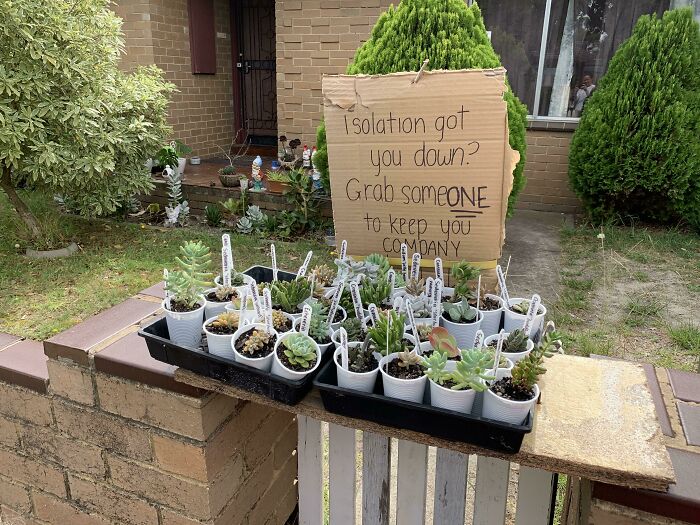 An Elderly Neighbor Is Giving Away These Plants To Passers By
