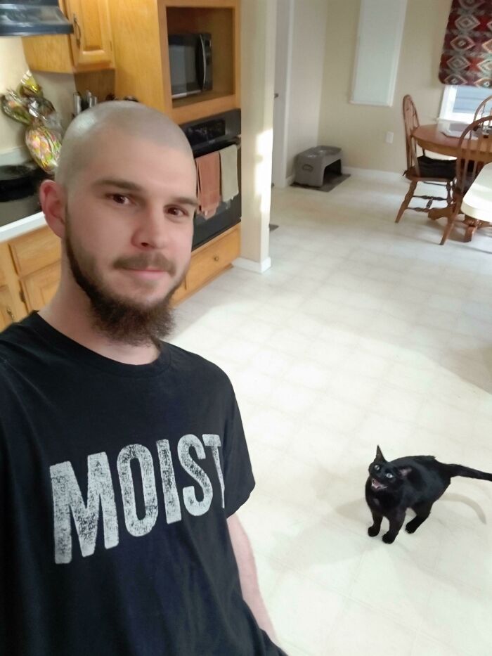 Spud Has Always Been A Cat Who Yells And I Finally Caught A Picture Of Him Doing What He Does Best