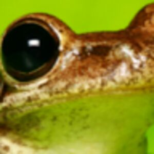 makenzieromero avatar