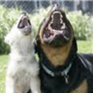 a_paigekruger avatar