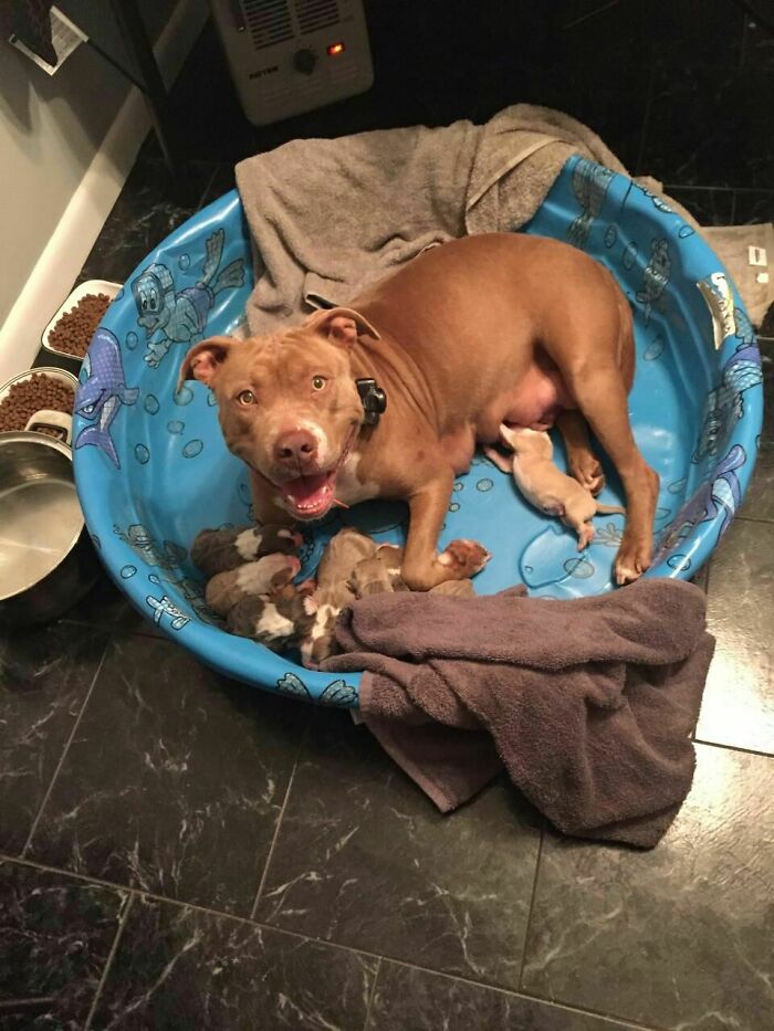 Proud Mama Feeding The Runt