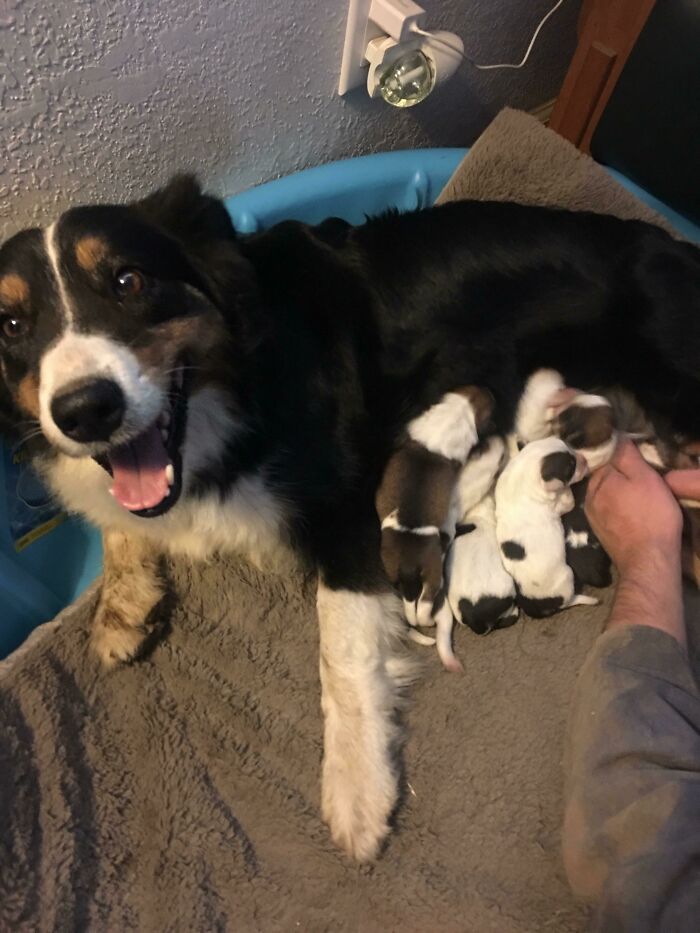 Proud Mama