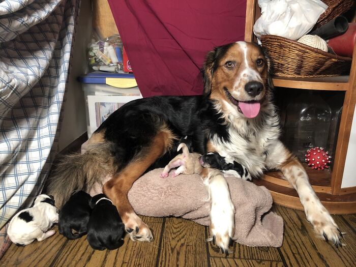 She’s A New And Proud Mama