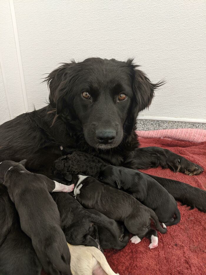 A Proud Mama