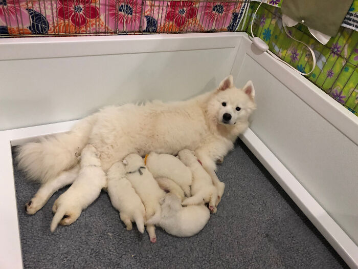 She’s A Proud Mama