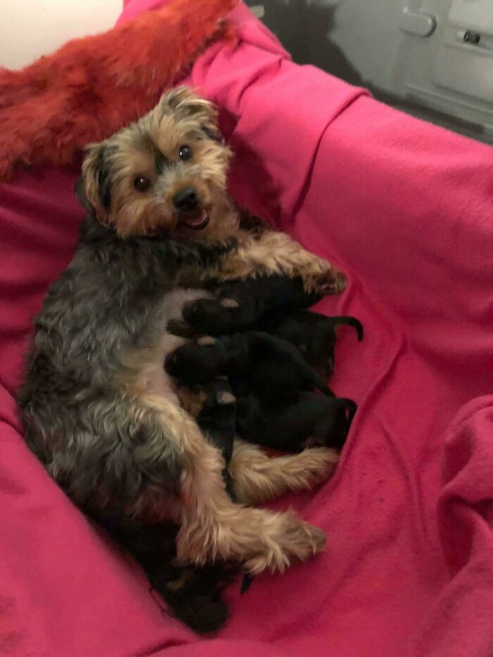 Proud Mama Of Five