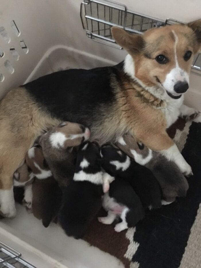 Mom Looks So Proud Of Herself