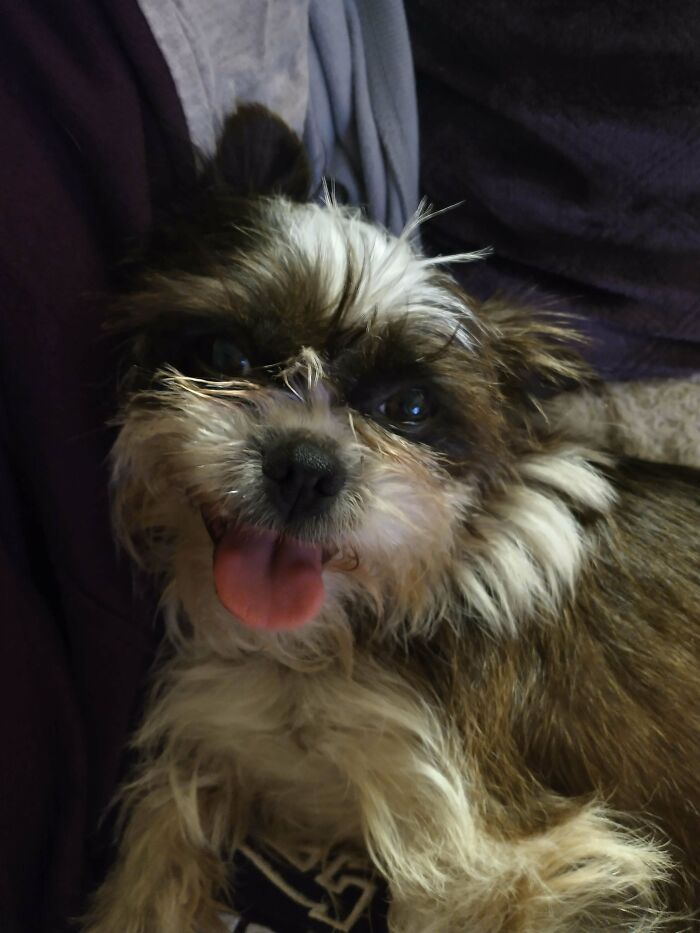 I Think My Baby Is Happy To Be Out Of The Shelter!