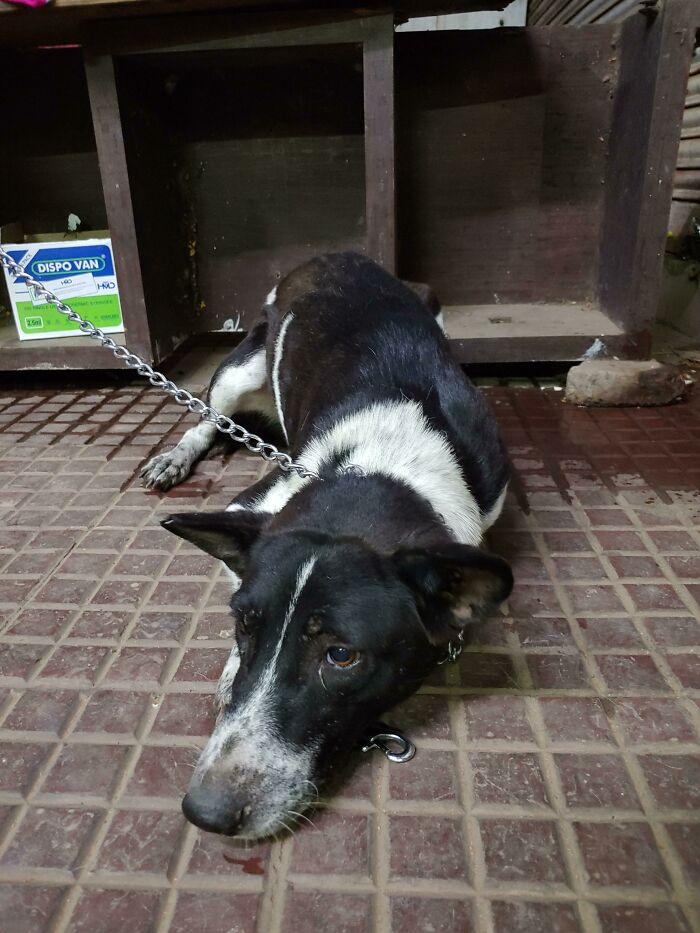 Rescued This Baby Off The Streets