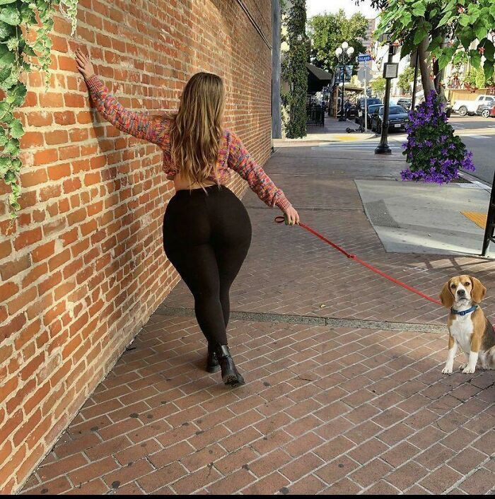 Are Beagles Know For Not Casting Shadows?