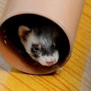 hilary_anderson avatar