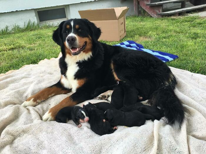 Proud Mother